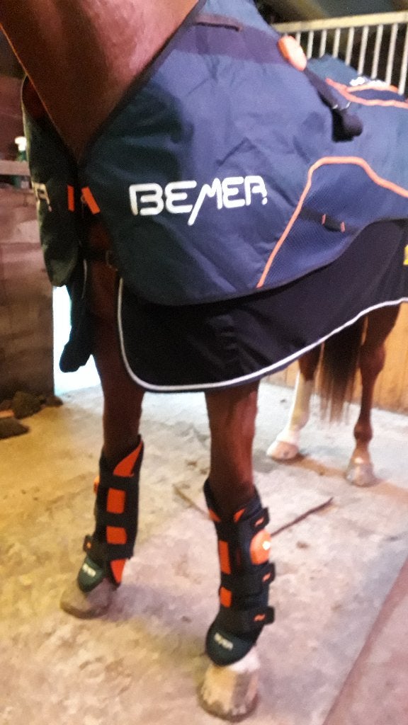 Bemer Horse-set, Autres marques, Enlèvement, Comme neuf, Autres types