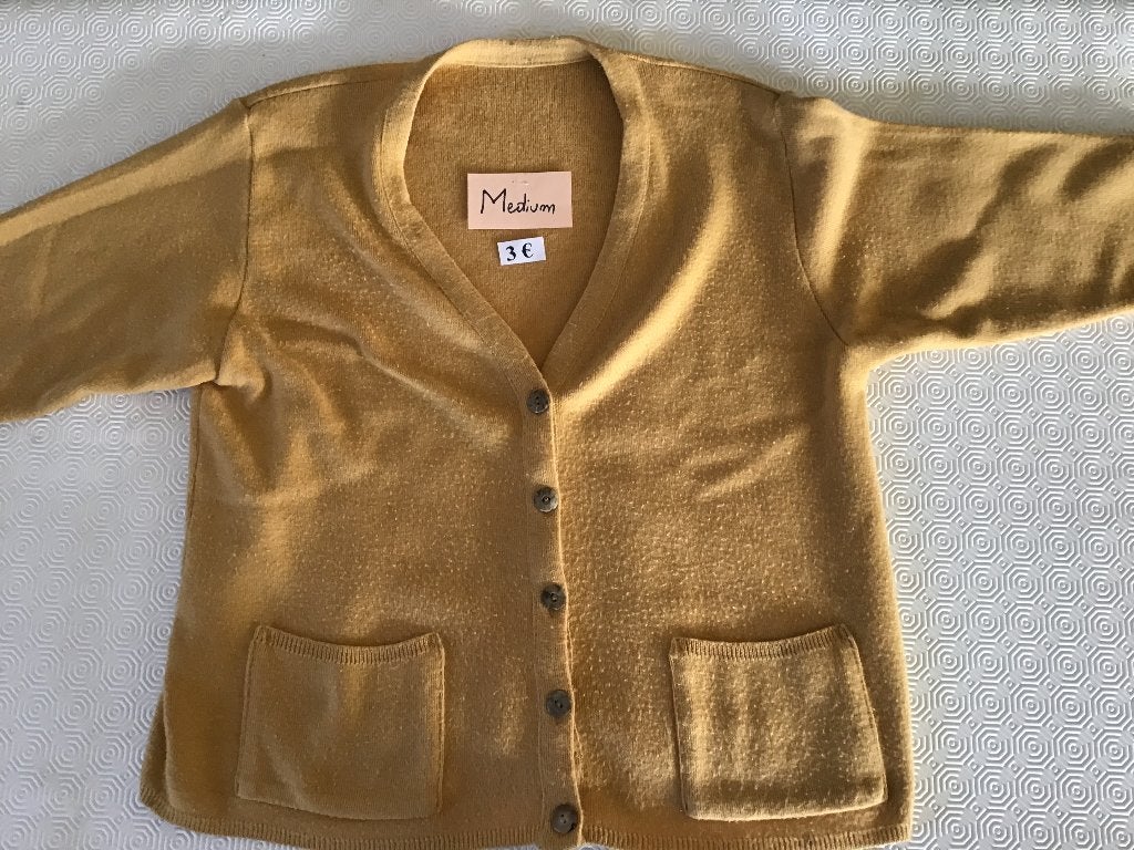 3 dames truien medium aan 3 euro, Ophalen of Verzenden, Zo goed als nieuw, Maat 38/40 (M)