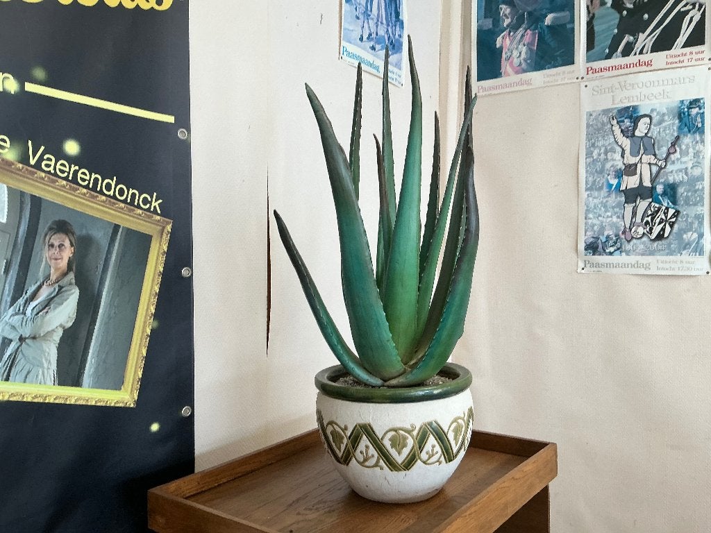Kunst sierplant, Huis en Inrichting, Ophalen, Groen, 30 cm, Kunstplant