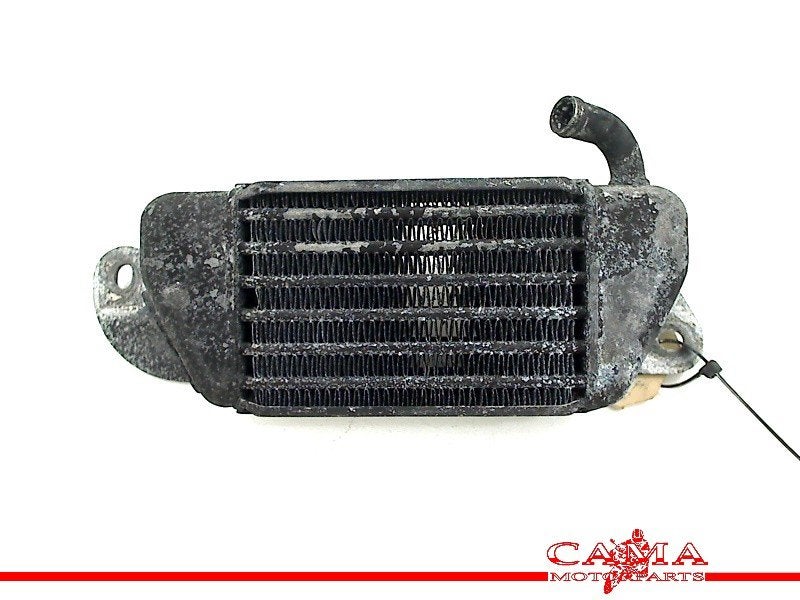 RADIATEUR BMW R 1200 C (R1200C 97) (01-1997/-), Motoren, Onderdelen | BMW, Gebruikt