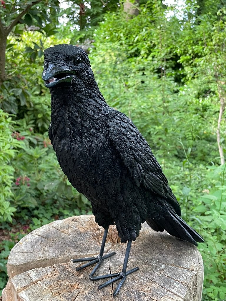 Beeld Kraai, Raaf, gazon, tuin, boerderij 35cm, Ophalen of Verzenden, Nieuw, Kunststof, Dierenbeeld