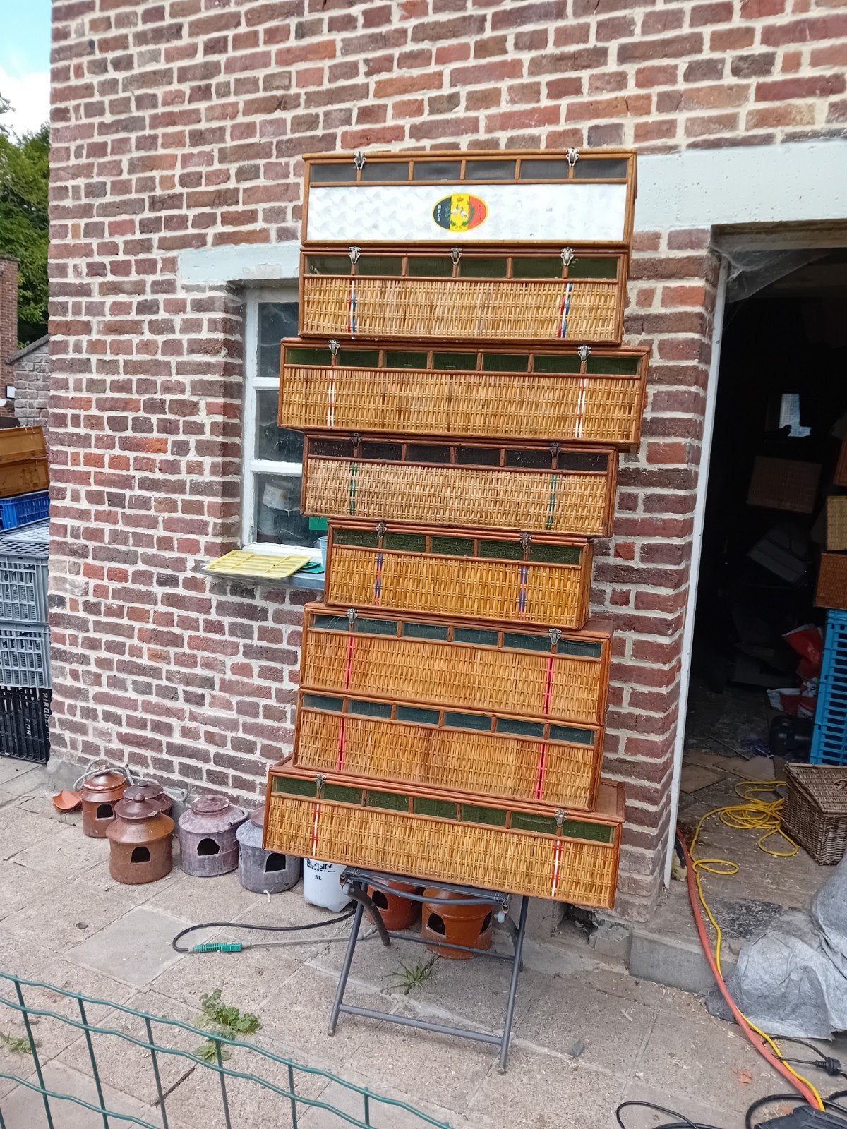 Duivenmanden duiven colombophile duif, Dieren en Toebehoren