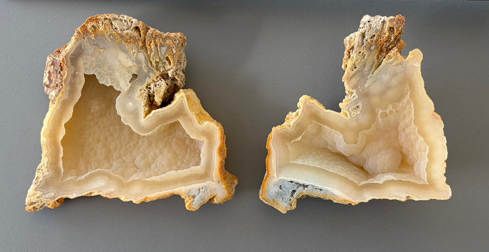Agatiserende fossiele oester – matching pair, Enlèvement ou Envoi, Fossile