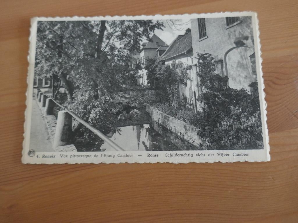 ronse schilderachtig zicht der vijver cambier, Verzamelen, Verzenden, Gelopen, Oost-Vlaanderen