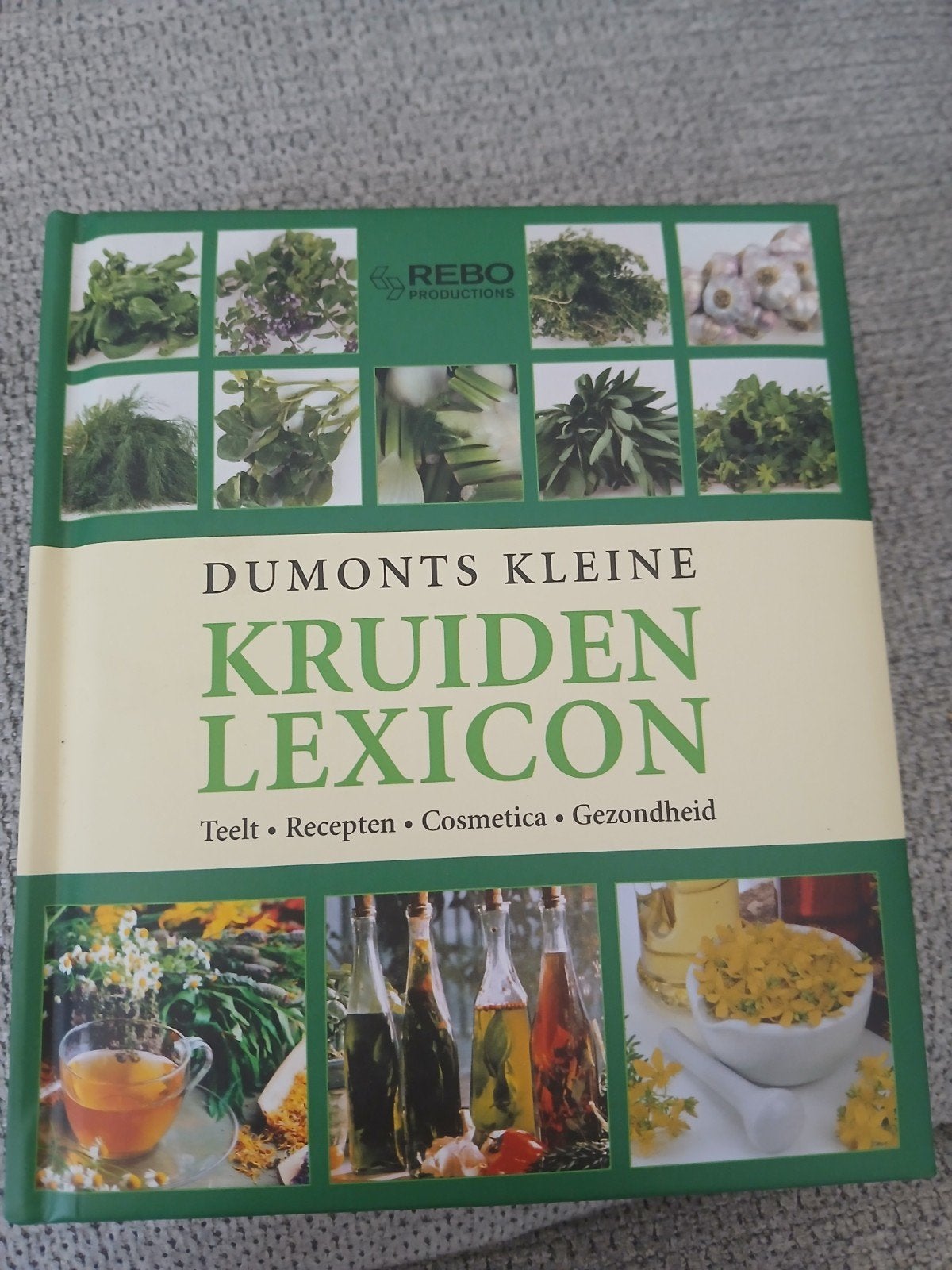 A. Rausch - Dumonts kleine kruiden lexicon, Boeken, Ophalen of Verzenden, A. Rausch; B. Lotz