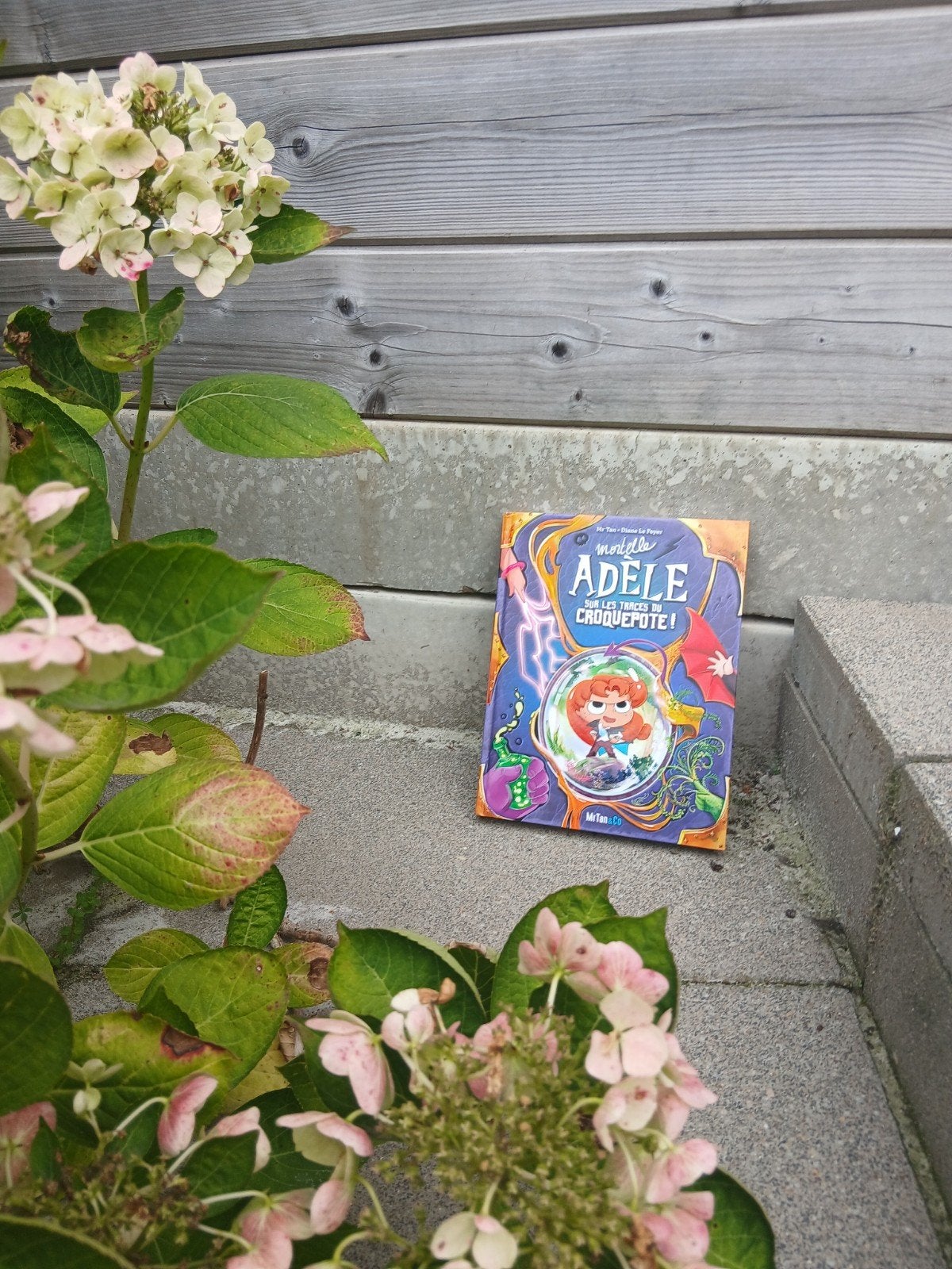 Mortelle Adèle sur les traces du croquepote!, Mr. Tan et Diane Le Feyer, Nieuw, Ophalen of Verzenden, Fictie