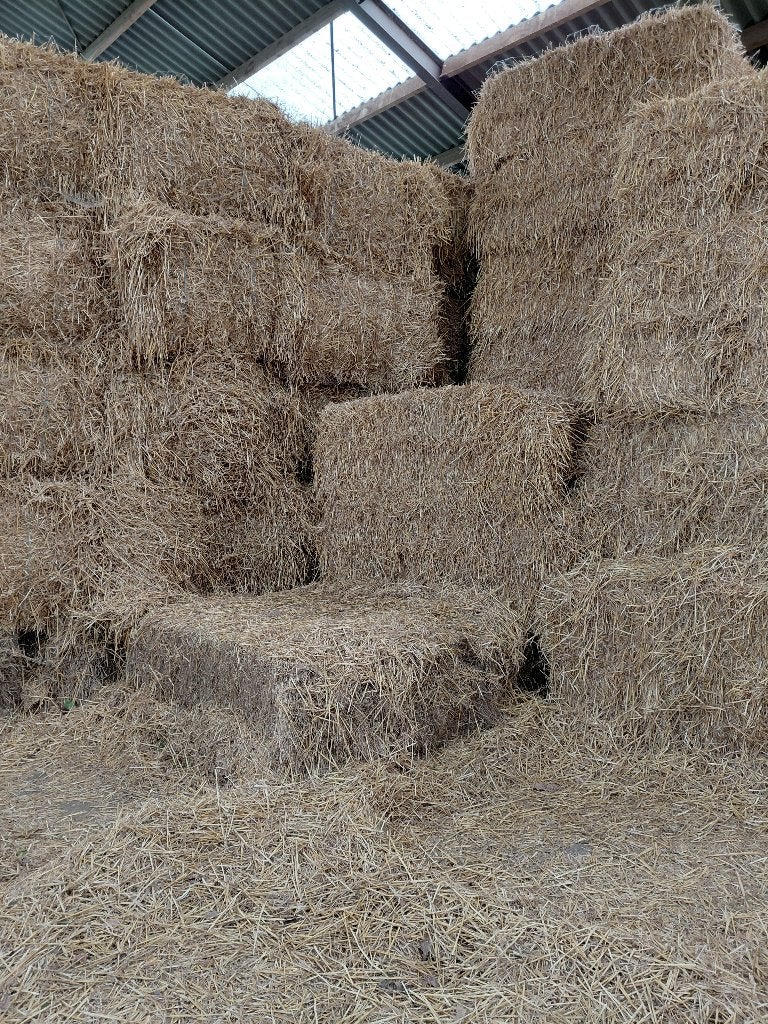 paille 2025, Articles professionnels, Agriculture | Aliments pour bétail, Enlèvement