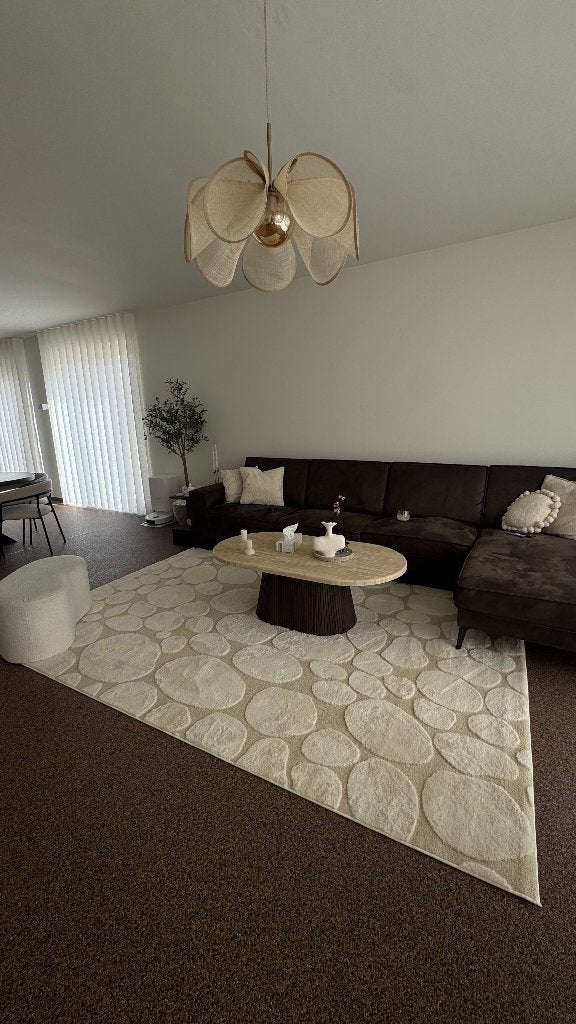 Vloerkleed beige, Ophalen