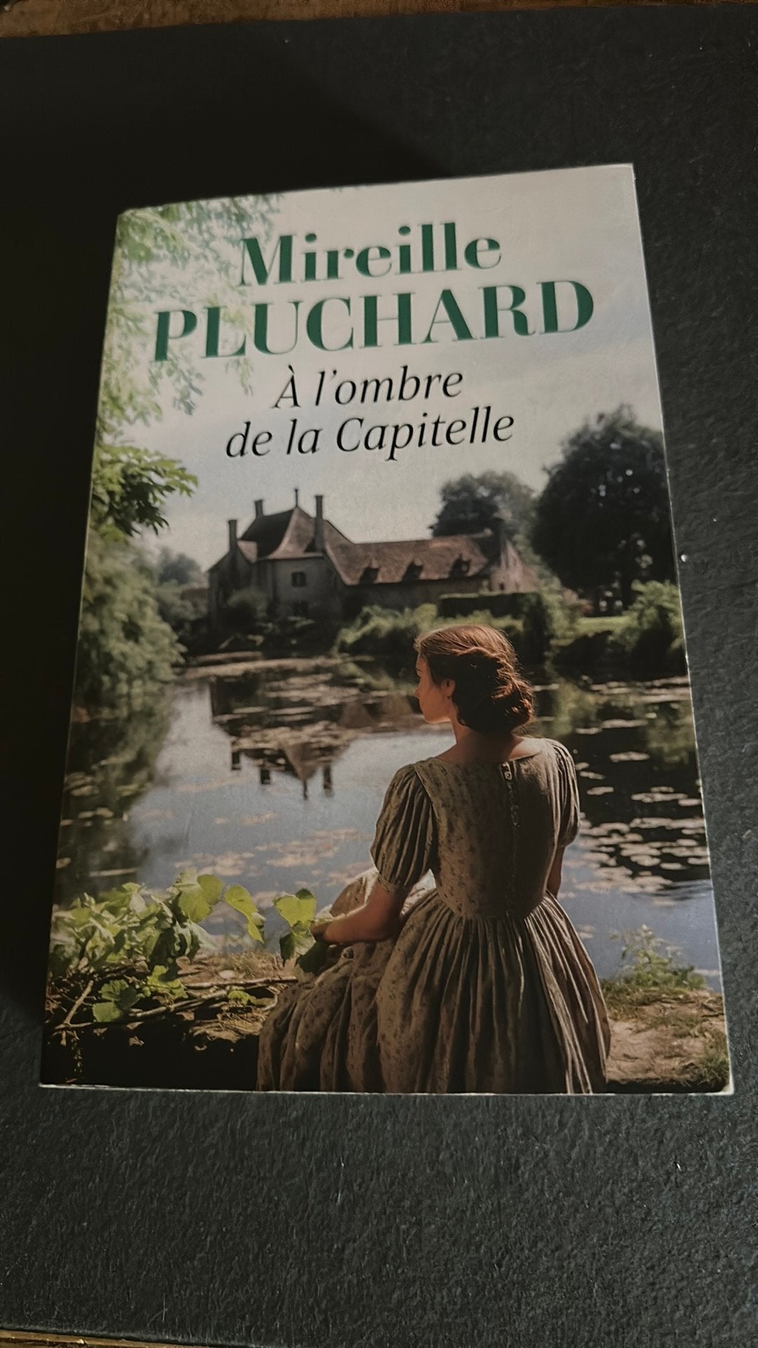 A l ‘ombre de la Capitelle de Mireille Pluchard, Livres, Romans, Enlèvement ou Envoi, Comme neuf