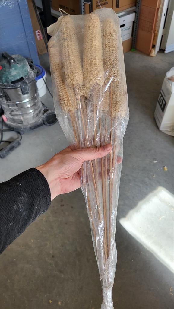 Decoratie droogbloemen maïs stokken, Ophalen