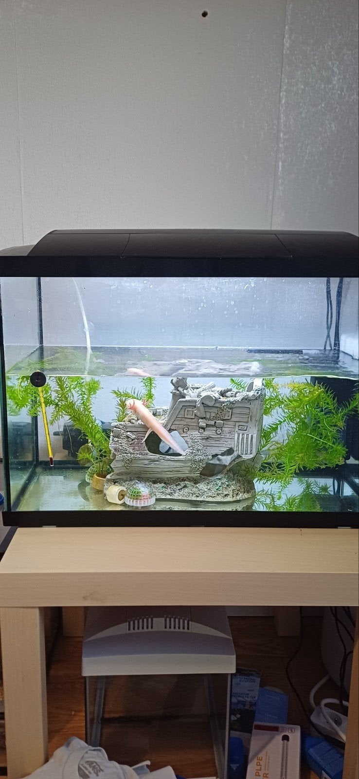 aquarium 60 L, Dieren en Toebehoren, Ophalen, Gebruikt, Filter, Superfish
