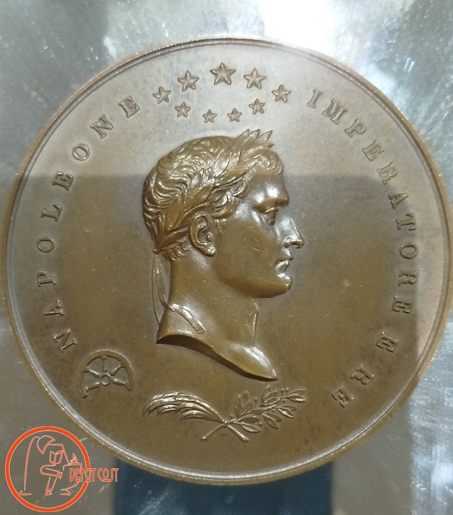 Grande médaille en bronze – Napoléon à Sainte-Hélène, Ophalen, Brons