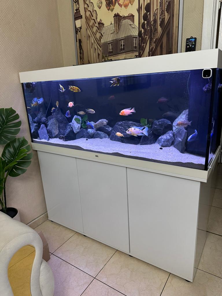 Aquarium Juwel Rio 450 LED Blanc – Ensemble Complet, Dieren en Toebehoren, Vissen | Aquaria en Toebehoren, Ophalen of Verzenden