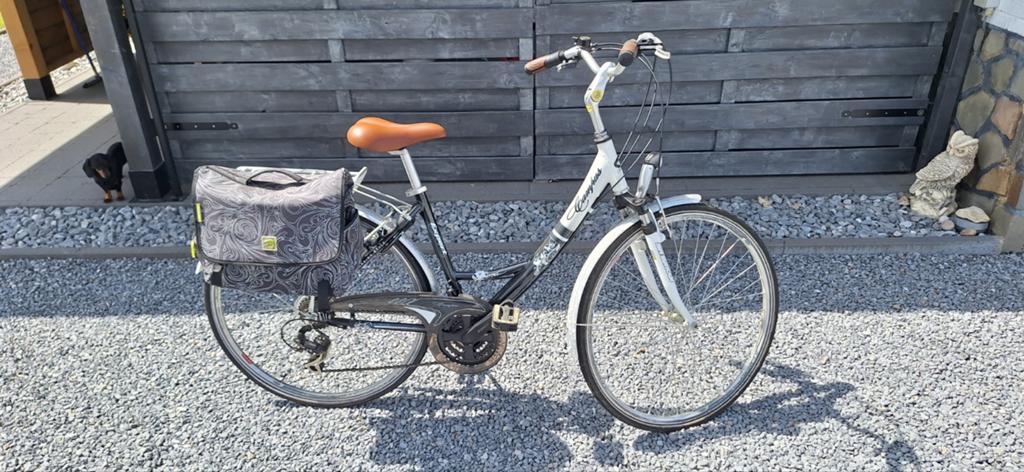Dames fiets, Fietsen en Brommers, Ophalen