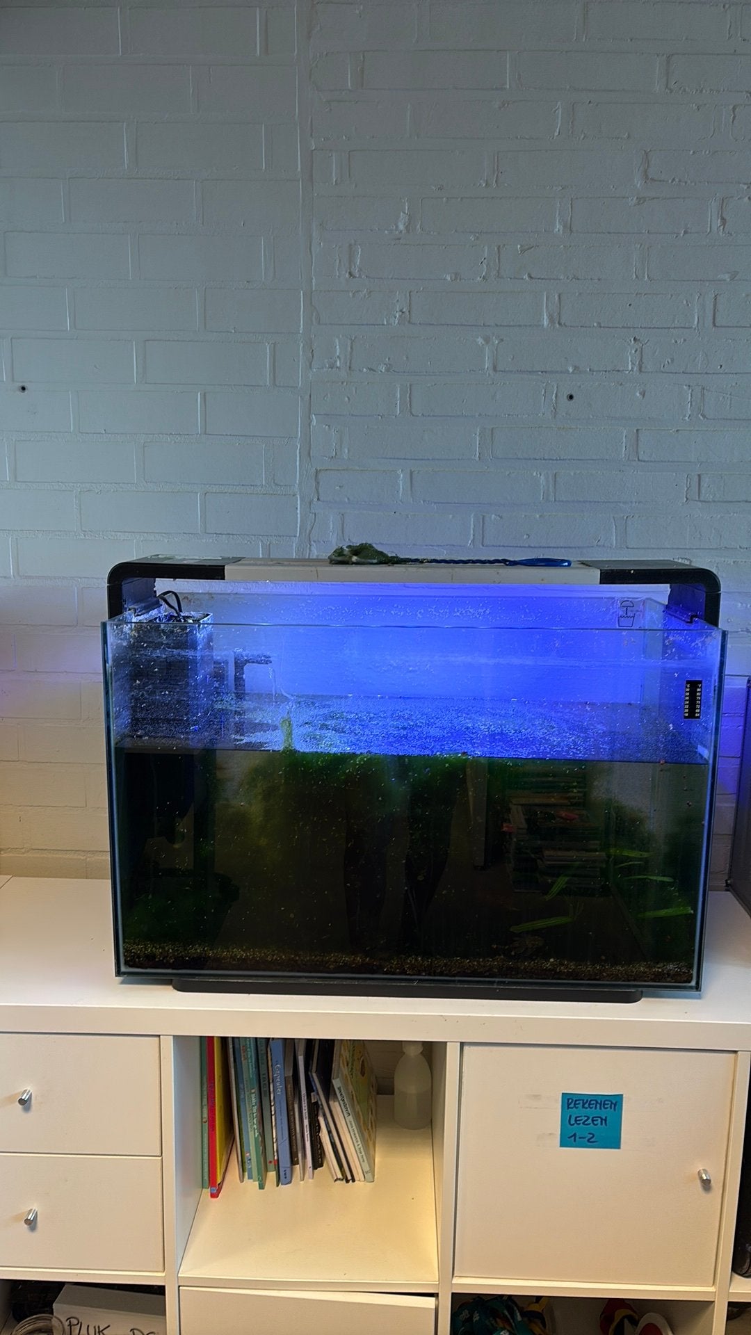 Aquarium, Dieren en Toebehoren, Ophalen, Gebruikt, Inclusief toebehoren, Gevuld zoetwateraquarium