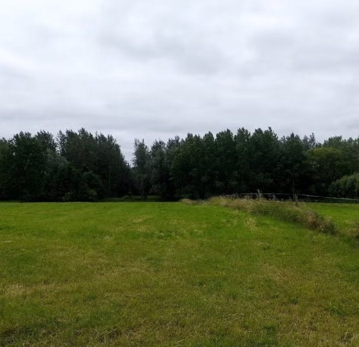 Weide kortenaken en Bekkevoort te huur, Dieren en Toebehoren