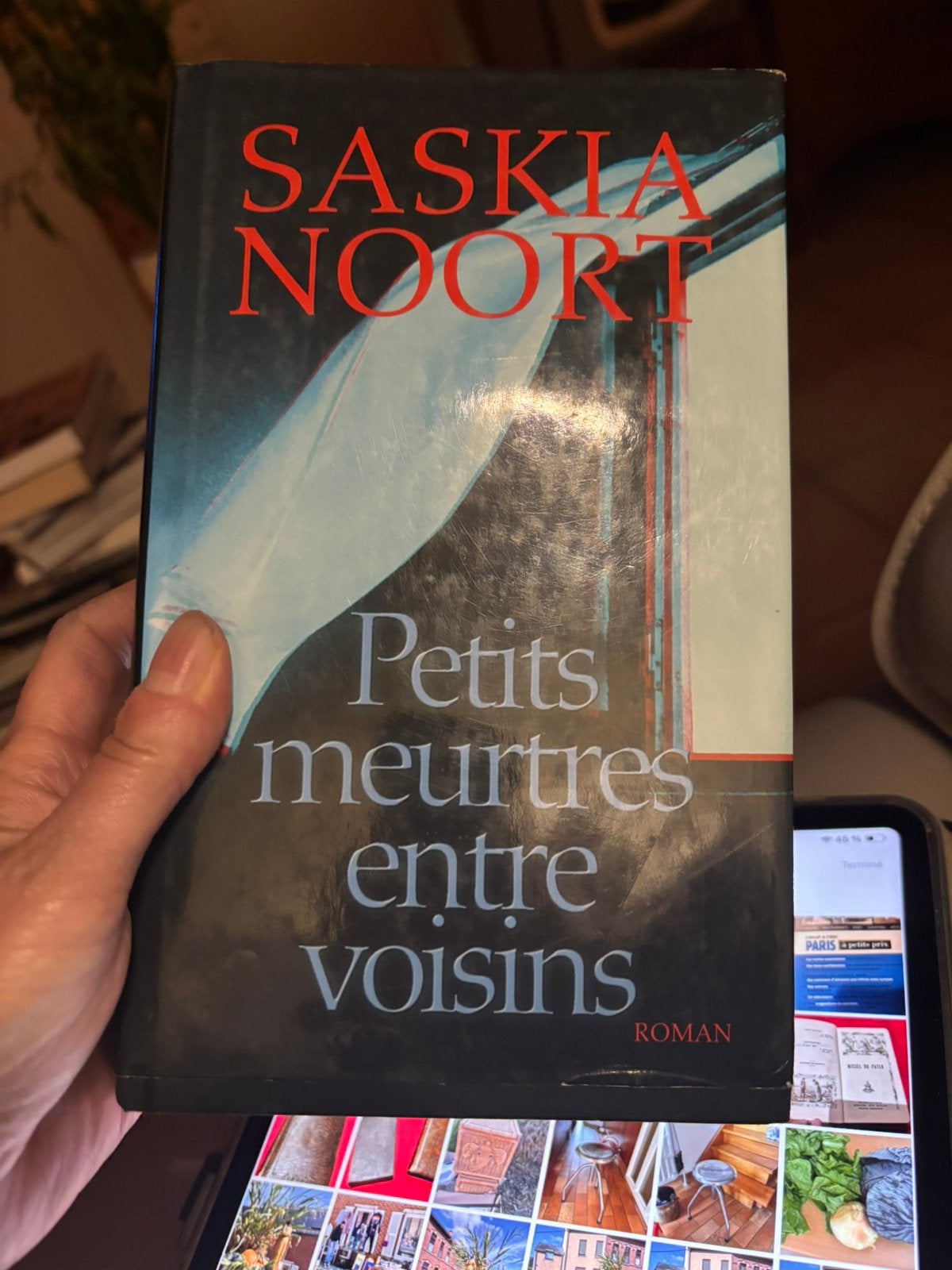 Petits meurtres entre voisins (Saskia Noort), Boeken, Ophalen of Verzenden, Zo goed als nieuw