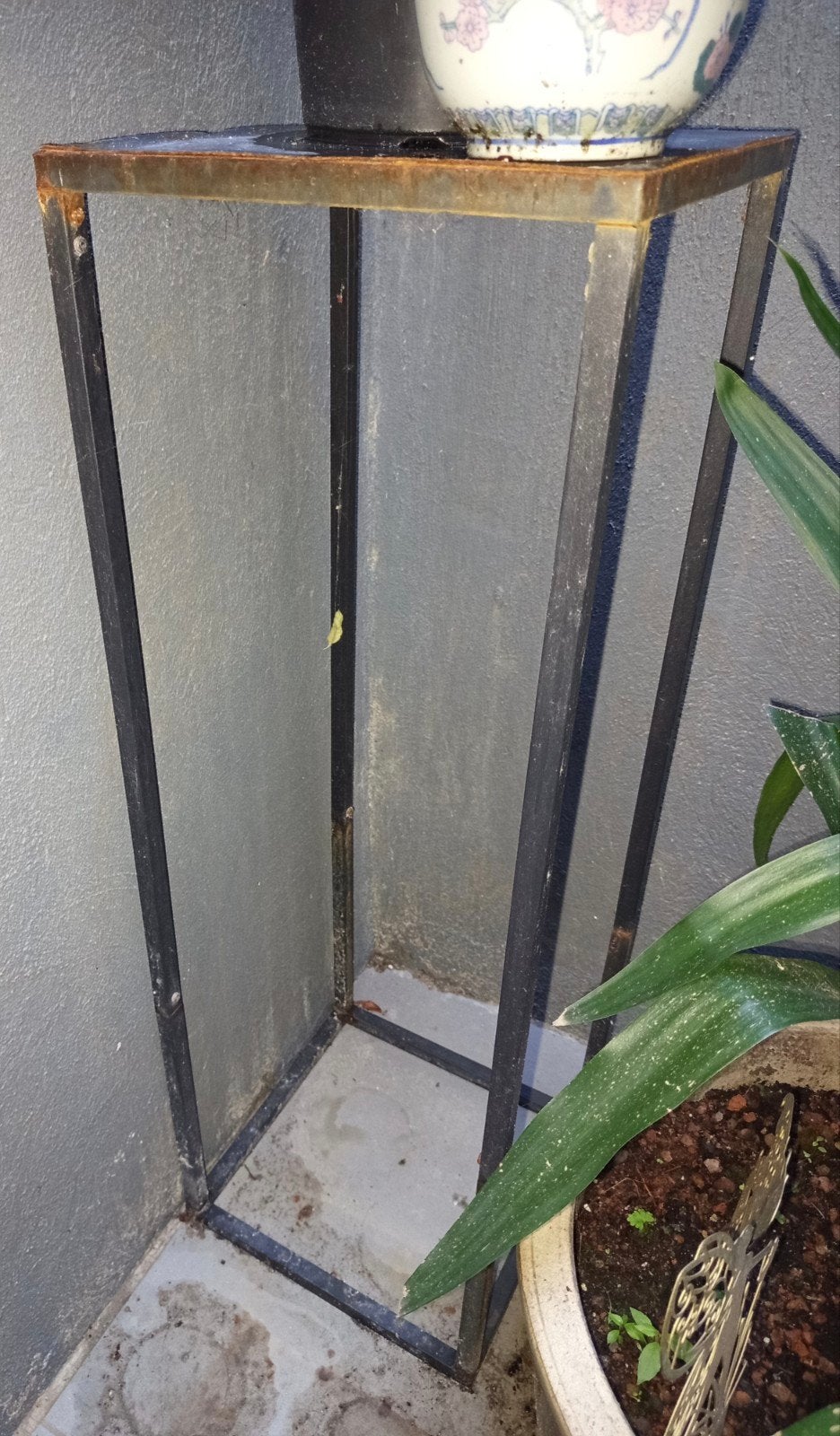 gratis + cactus, Tuin en Terras, Kassen, Ophalen
