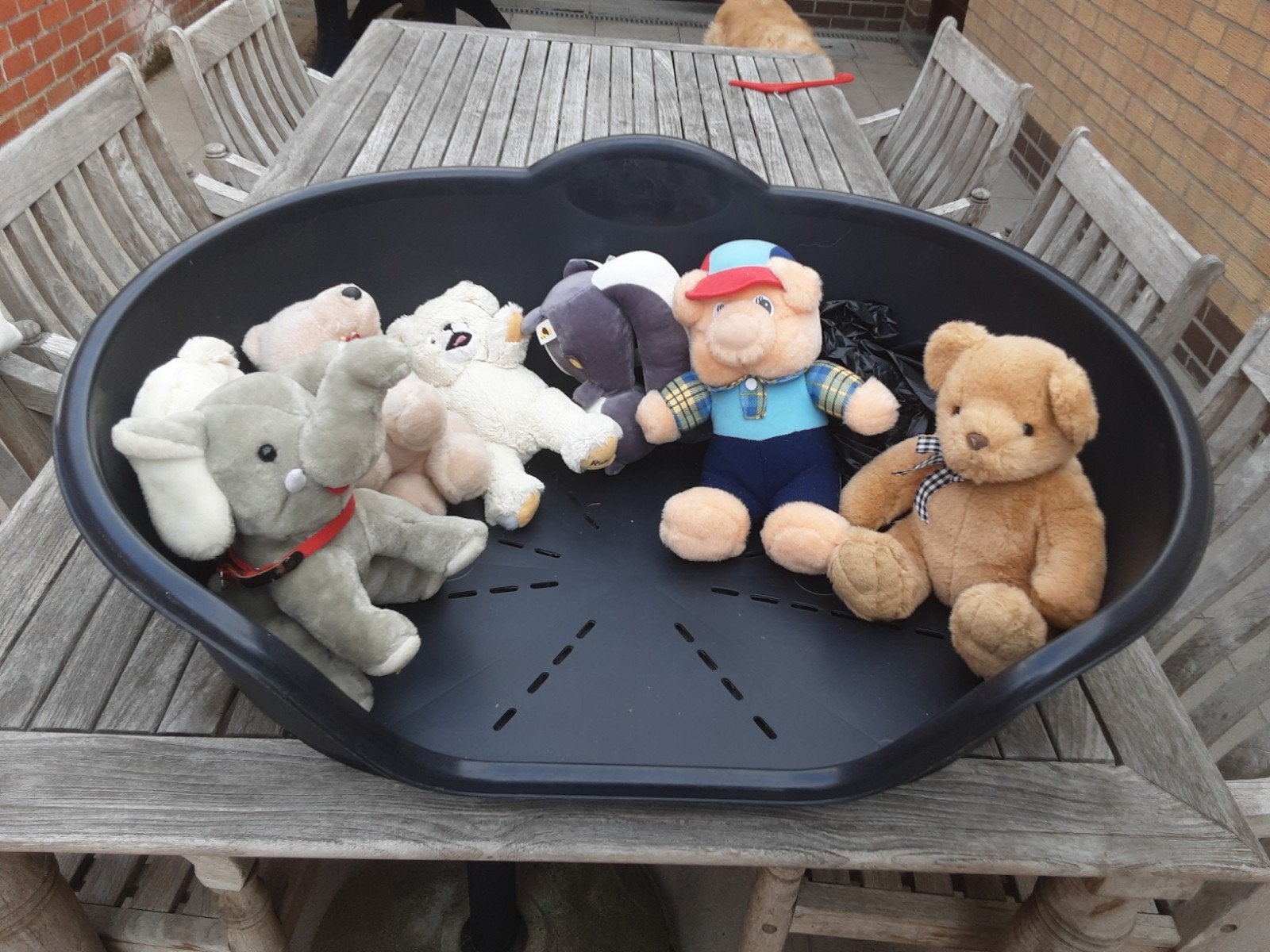 hondenmand en knuffels, Ophalen
