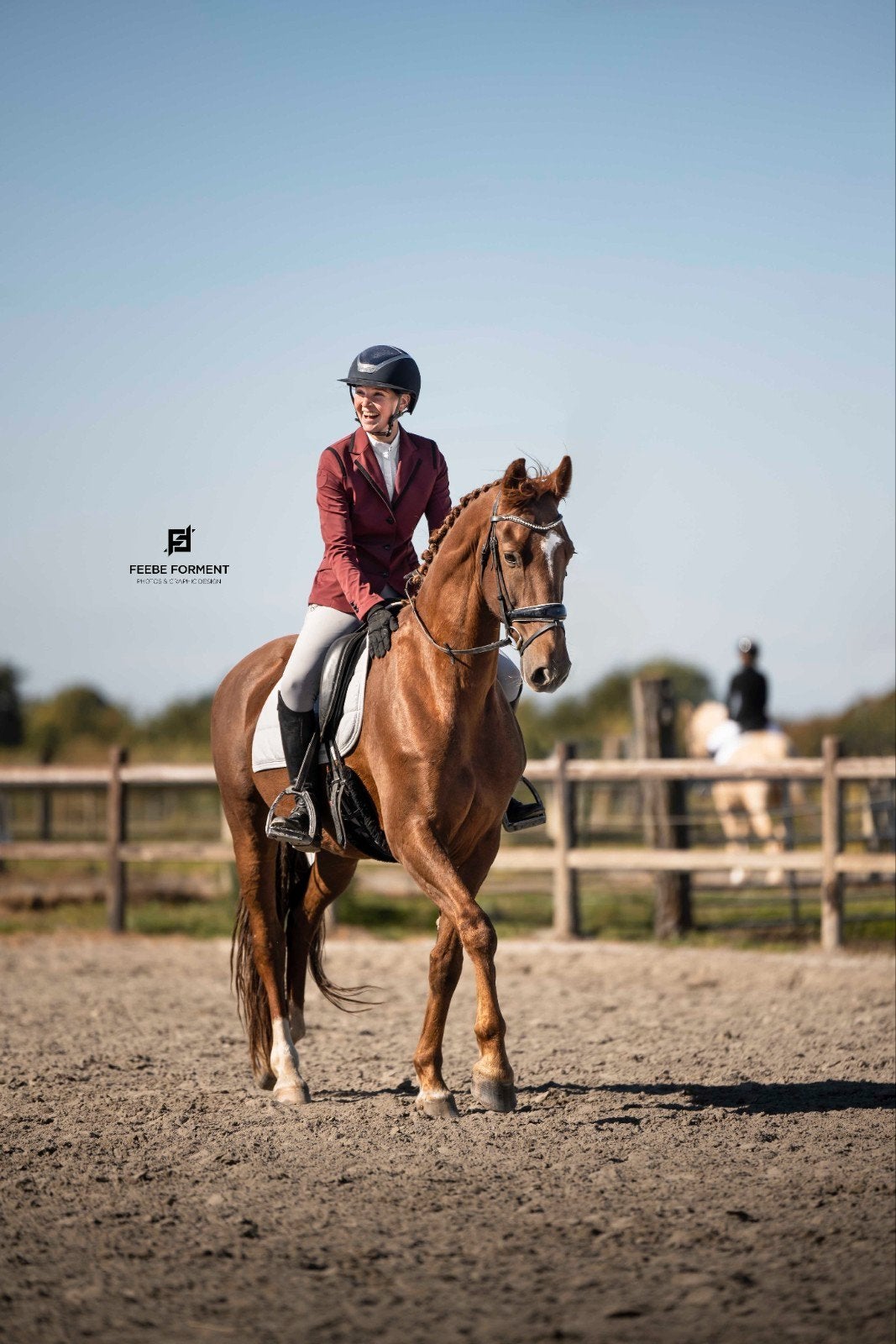 Nesquik – 7-jarige talentvolle KWPN ruin v. Fabuleus, Dieren en Toebehoren, Met stamboom, Ruin, M, Dressuurpaard