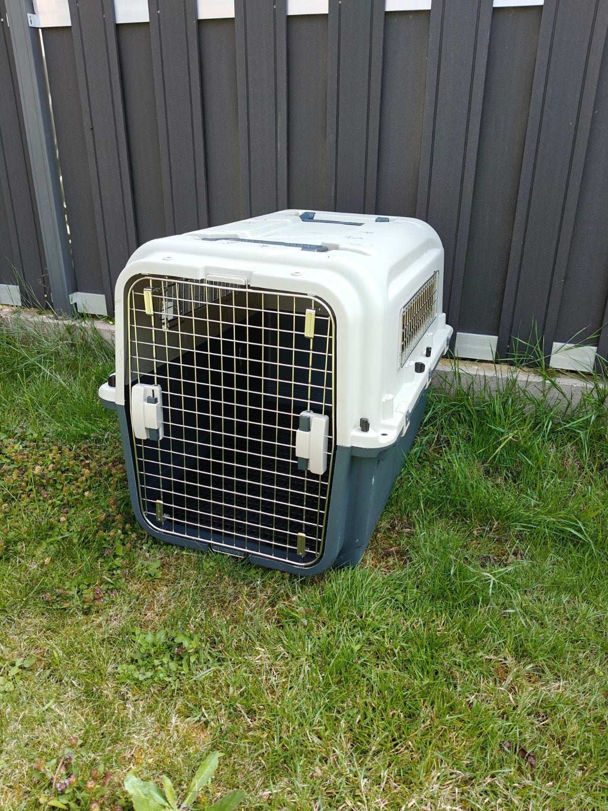 Bench honden, Dieren en Toebehoren, Ophalen