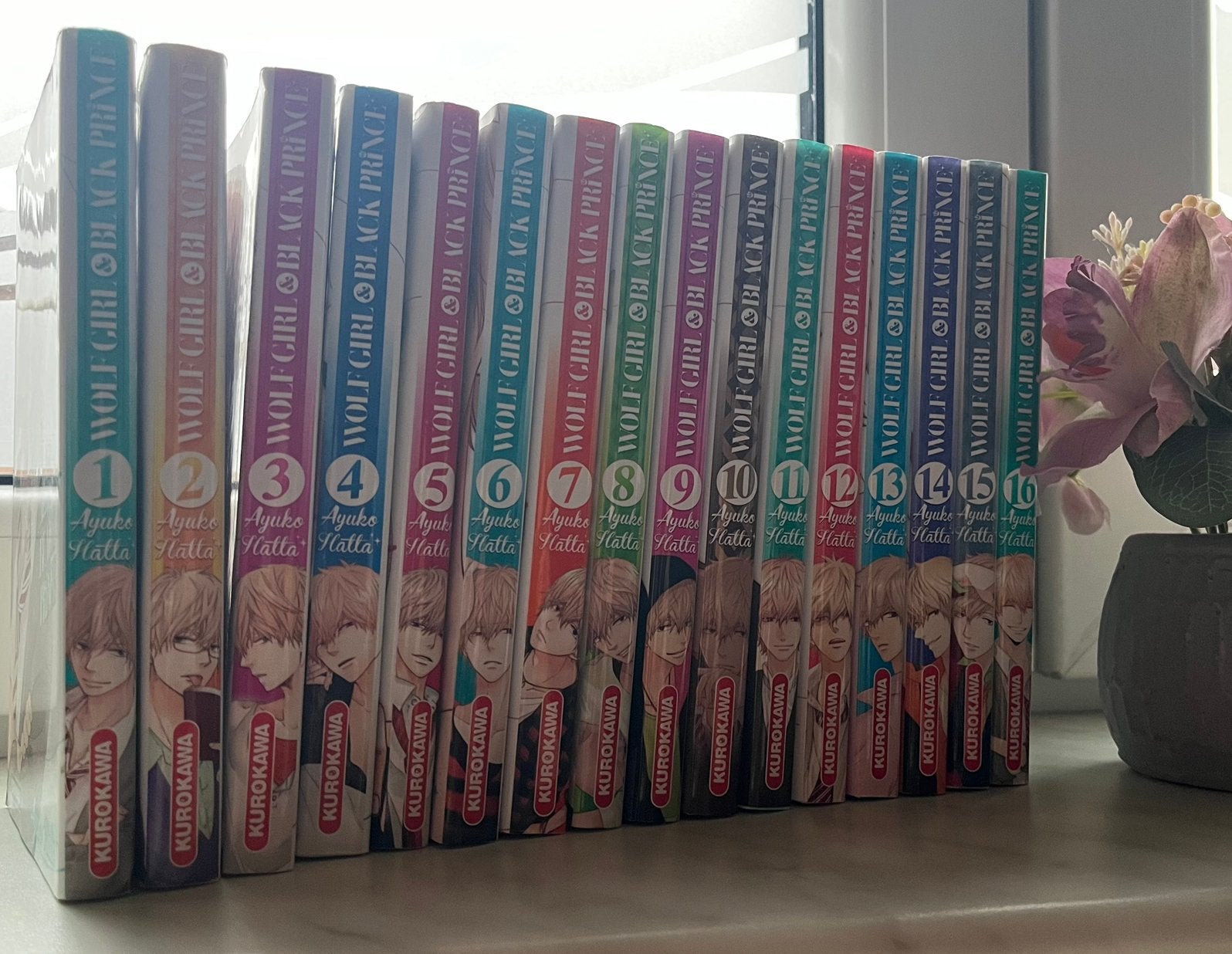 Manga Wolf Girl & Black Prince – Collection complète, Enlèvement, Utilisé