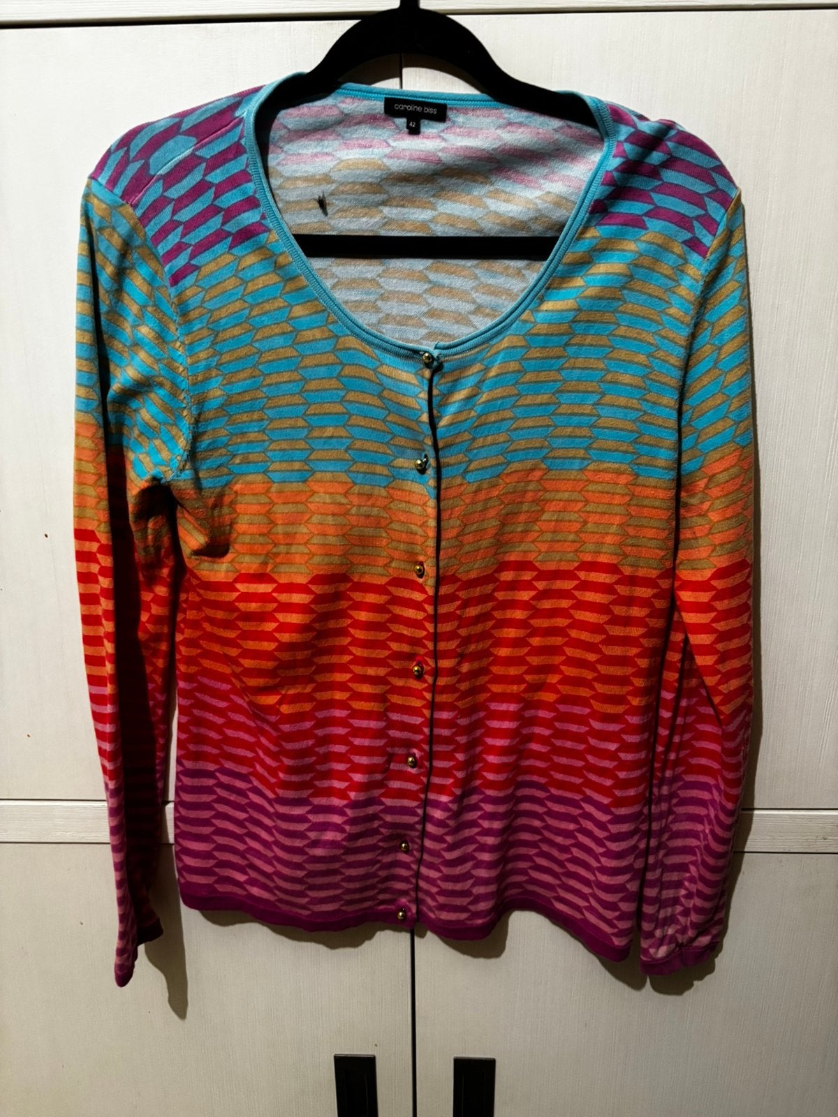 Caroline biss gilet maat 42, Vêtements | Femmes, Pulls & Gilets, Enlèvement ou Envoi, Comme neuf, Taille 42/44 (L)