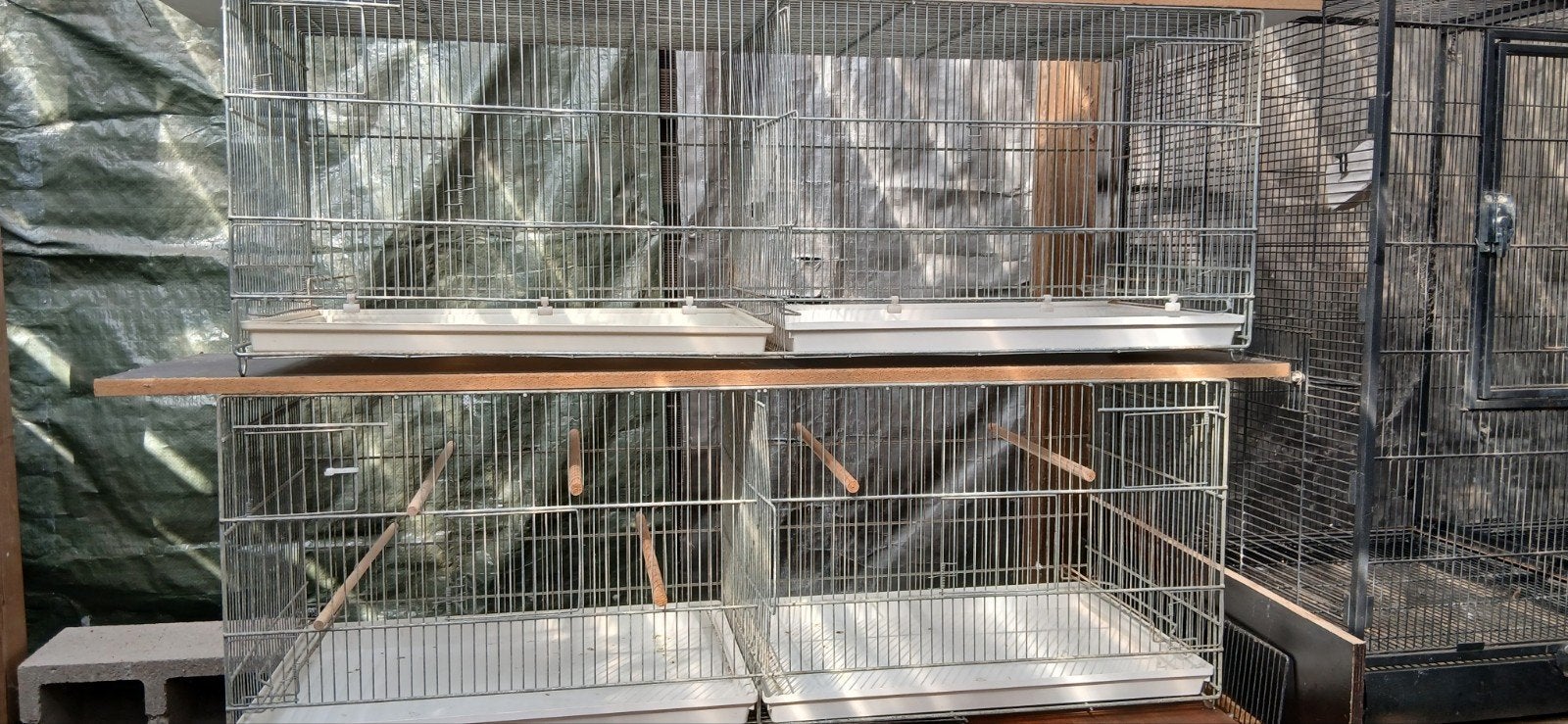 vluchtkooien, Dieren en Toebehoren, Ophalen