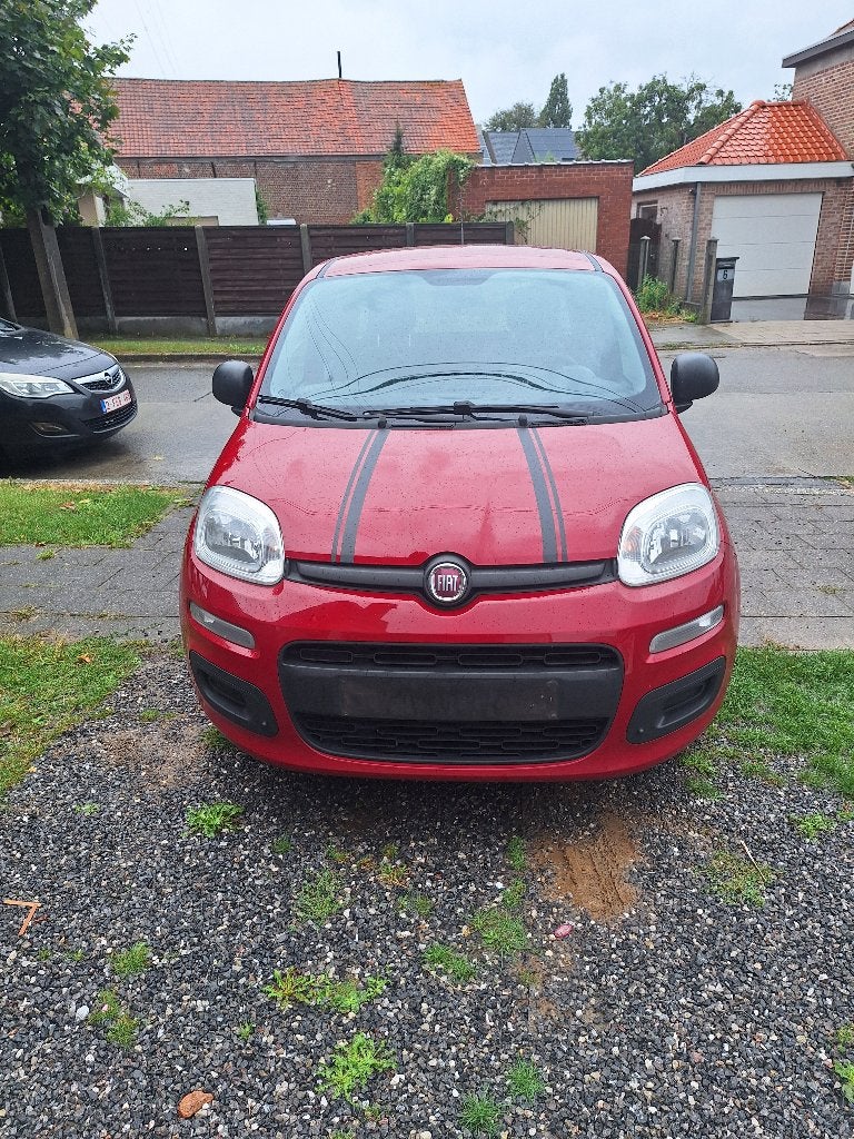Auto te koop, Autos, Fiat, Rouge, Achat, Panda, Boîte manuelle