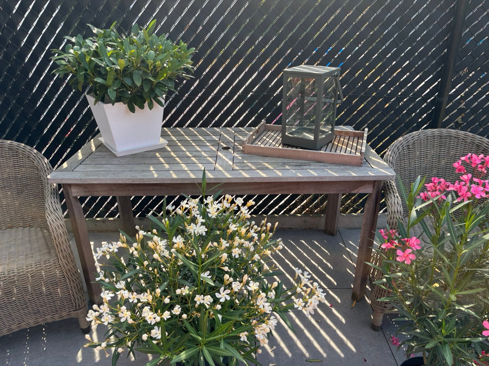 Teak tuintafel 1.5 m lang op 75 cm breed, 73 cm hoog, Tuin en Terras, Ophalen, Gebruikt, Rechthoekig, Teakhout