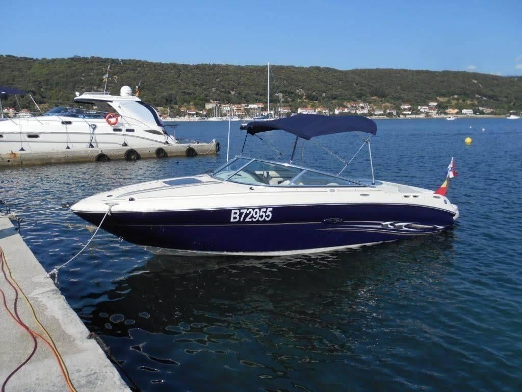 Sea Ray 220 + Trailer, Watersport en Boten, Speedboten, Zo goed als nieuw, Benzine, Binnenboordmotor, Polyester, Ophalen