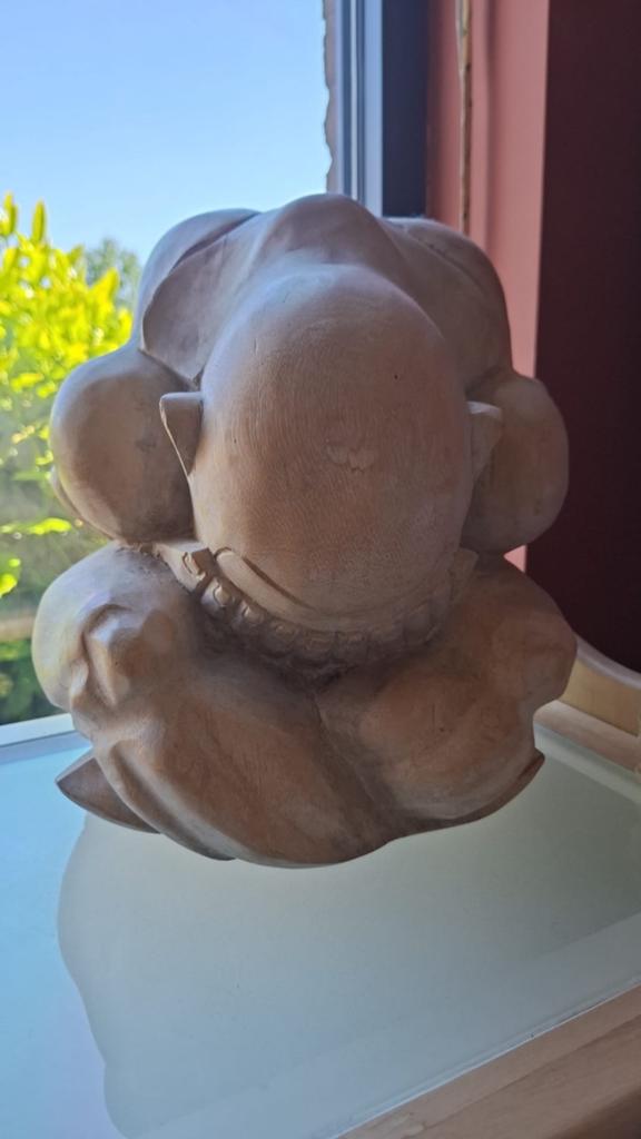 Yogi beeld groot, Enlèvement