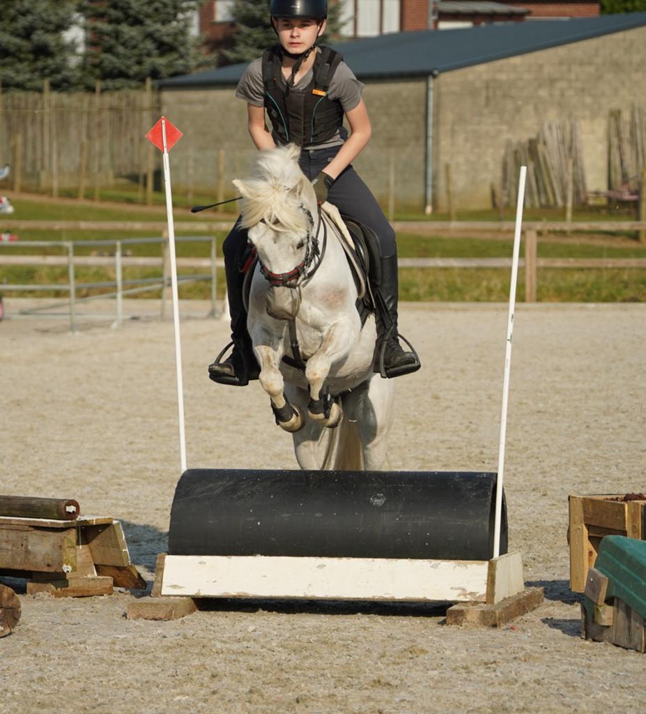Supergave B-pony, B, Poney B (1.17 m à 1.27 m), Poney de saut, 11 ans ou plus