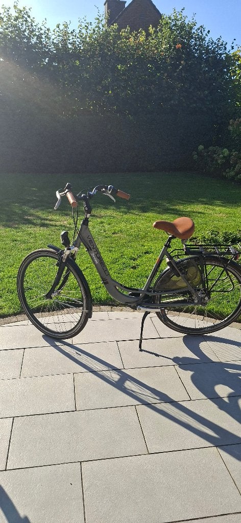 damesfiets, Fietsen en Brommers, Velgrem, Versnellingen, Ophalen, Overige merken