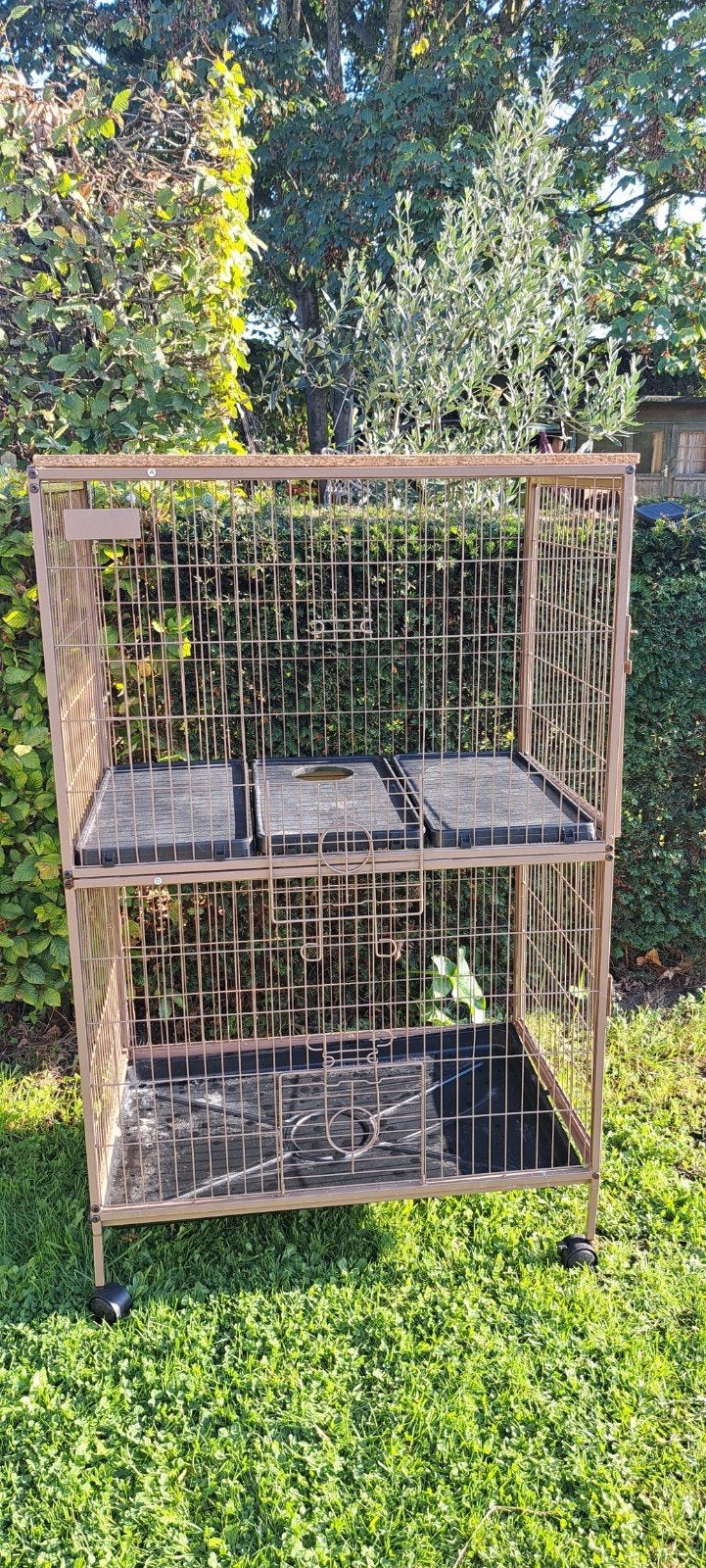 cavia of ander knaagdierhok, Animaux & Accessoires, Enlèvement, Utilisé, Cage, Cobaye