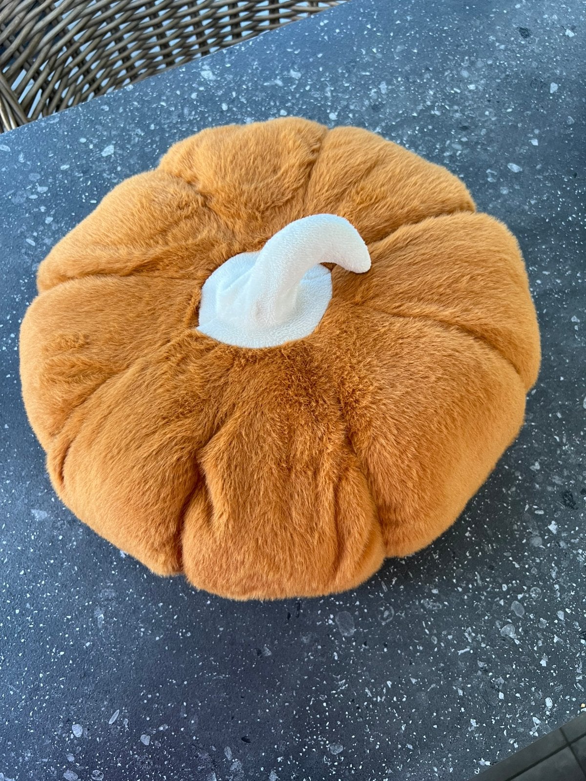 Coussin citrouille, Enlèvement, Comme neuf