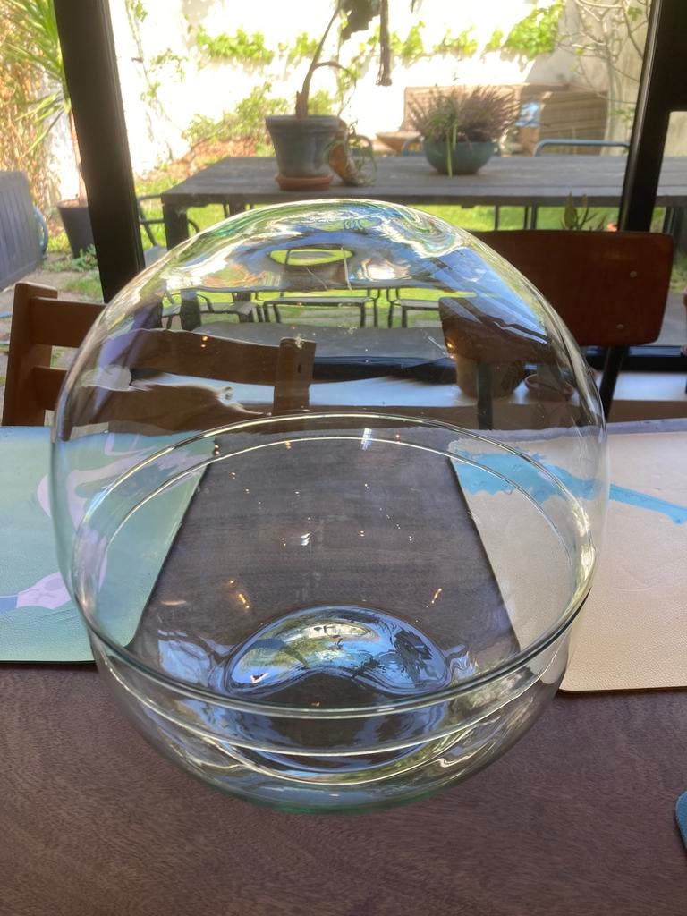 Planten terrarium 27cm, Enlèvement, Comme neuf, Verre