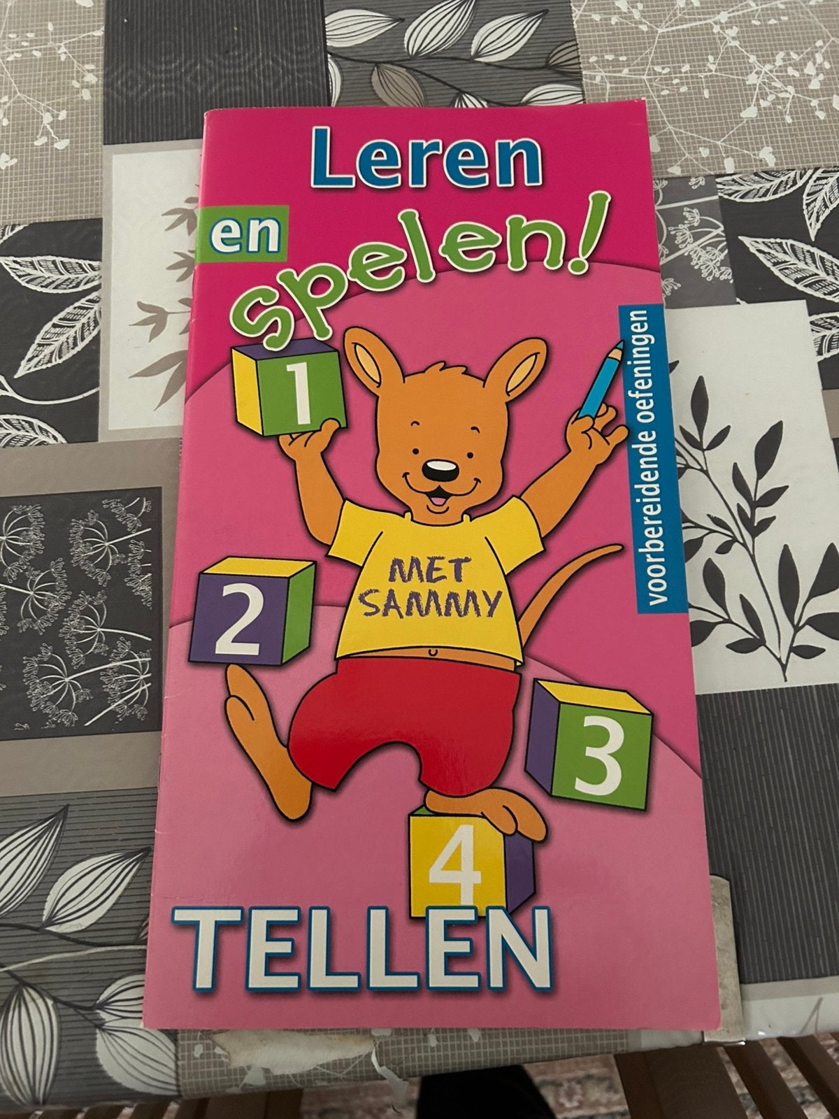 Leren en spelen boek, Ophalen, Zo goed als nieuw