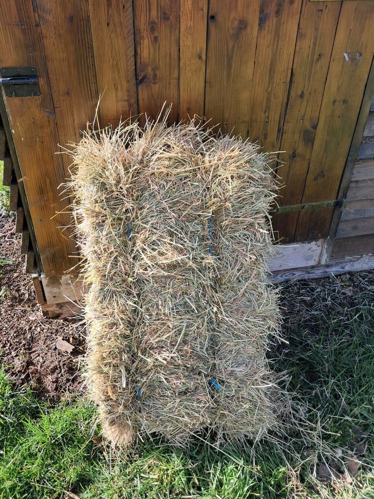 Kleine balen hooi goed gevuld!, Ophalen