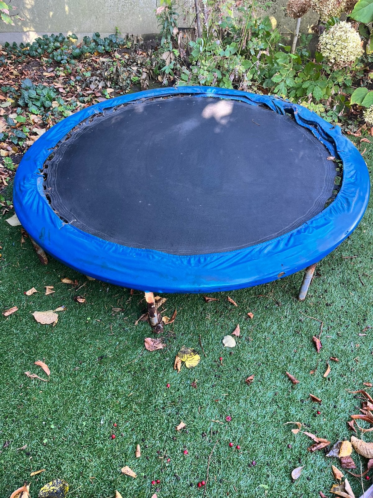 Gratis trampoline, Enlèvement, Utilisé