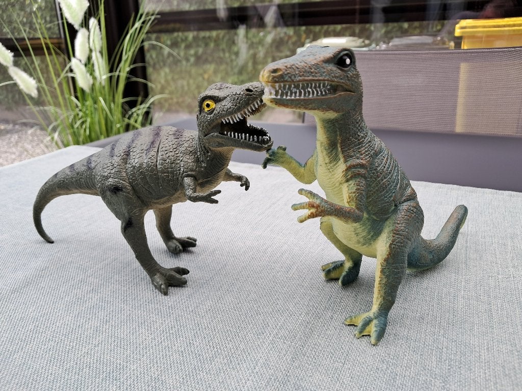 Te koop : 2 dino's, Ophalen of Verzenden, Zo goed als nieuw, Jongen of Meisje