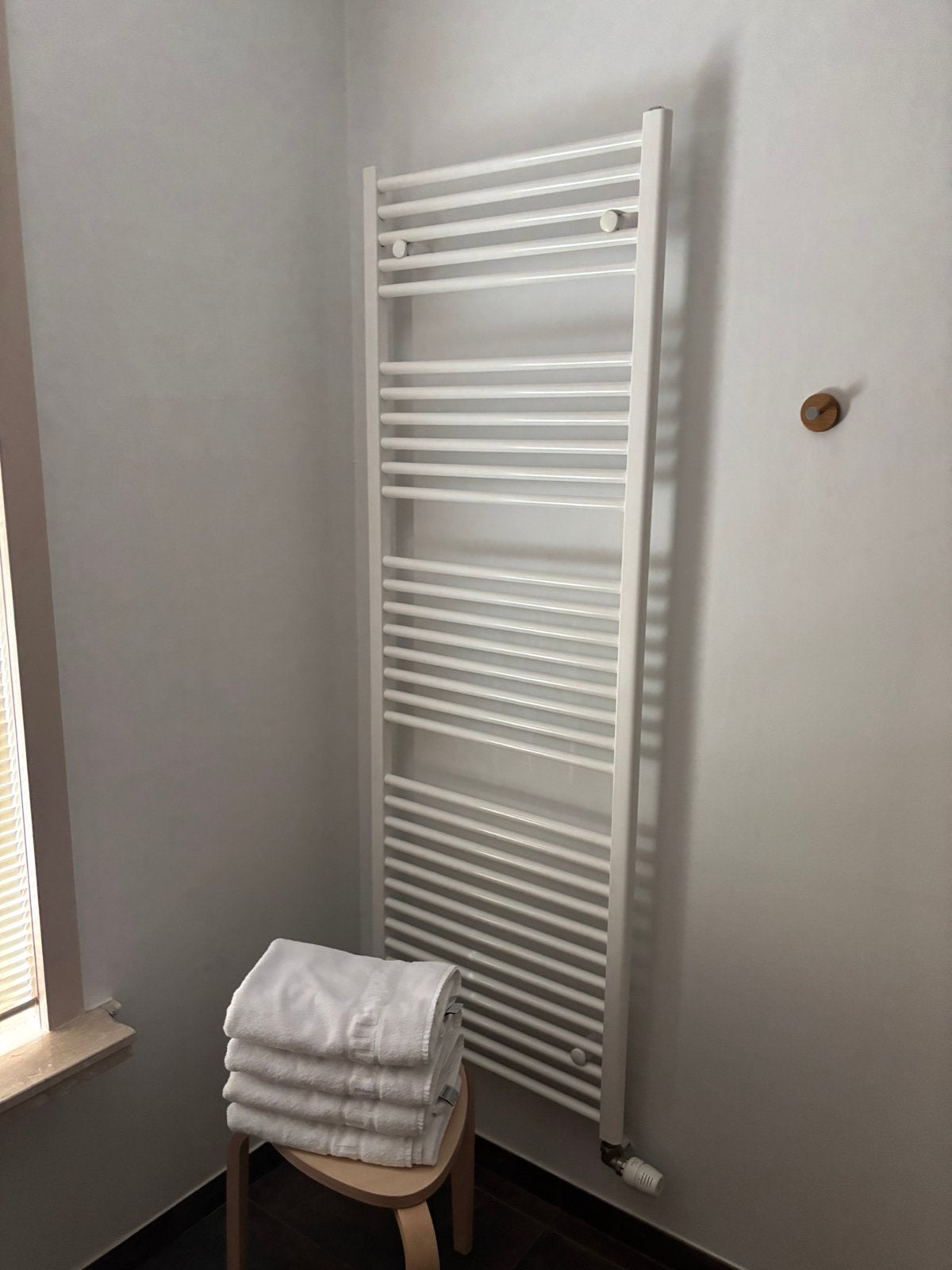 Badkamer Radiator 60 op 170cm, Doe-het-zelf en Bouw, Verwarming en Radiatoren, Ophalen, Zo goed als nieuw, Radiator
