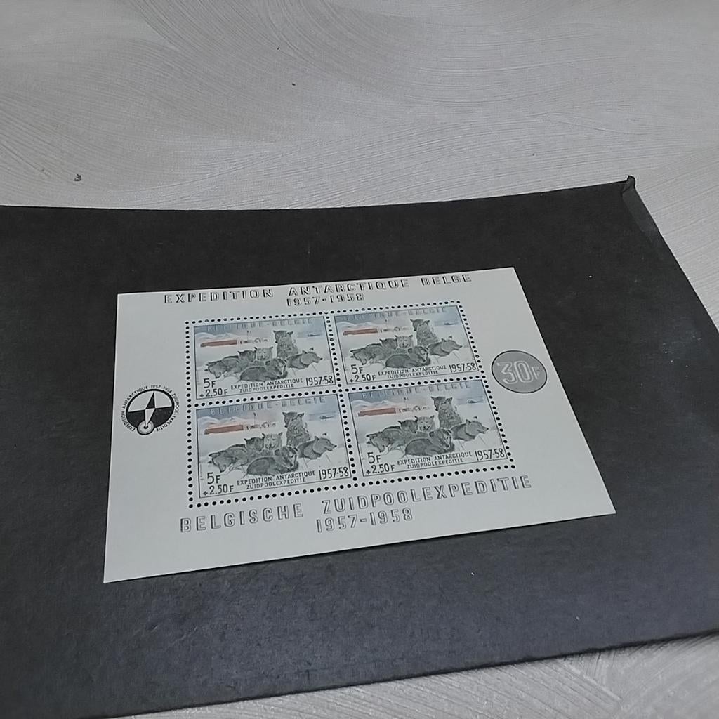 BELGIE blok 31 postfris met cote 180,00 €, Ophalen of Verzenden, Postfris
