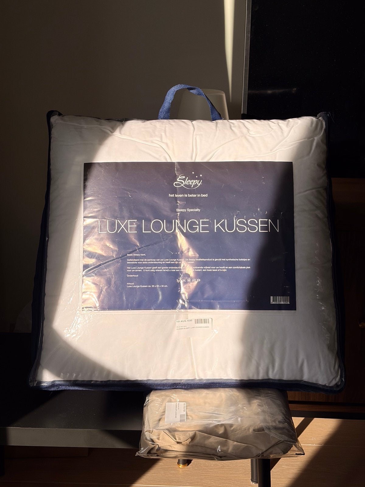 Coussin de salon ou de lecture avec taie d'oreiller., Enlèvement, Comme neuf, Coussin de lounge