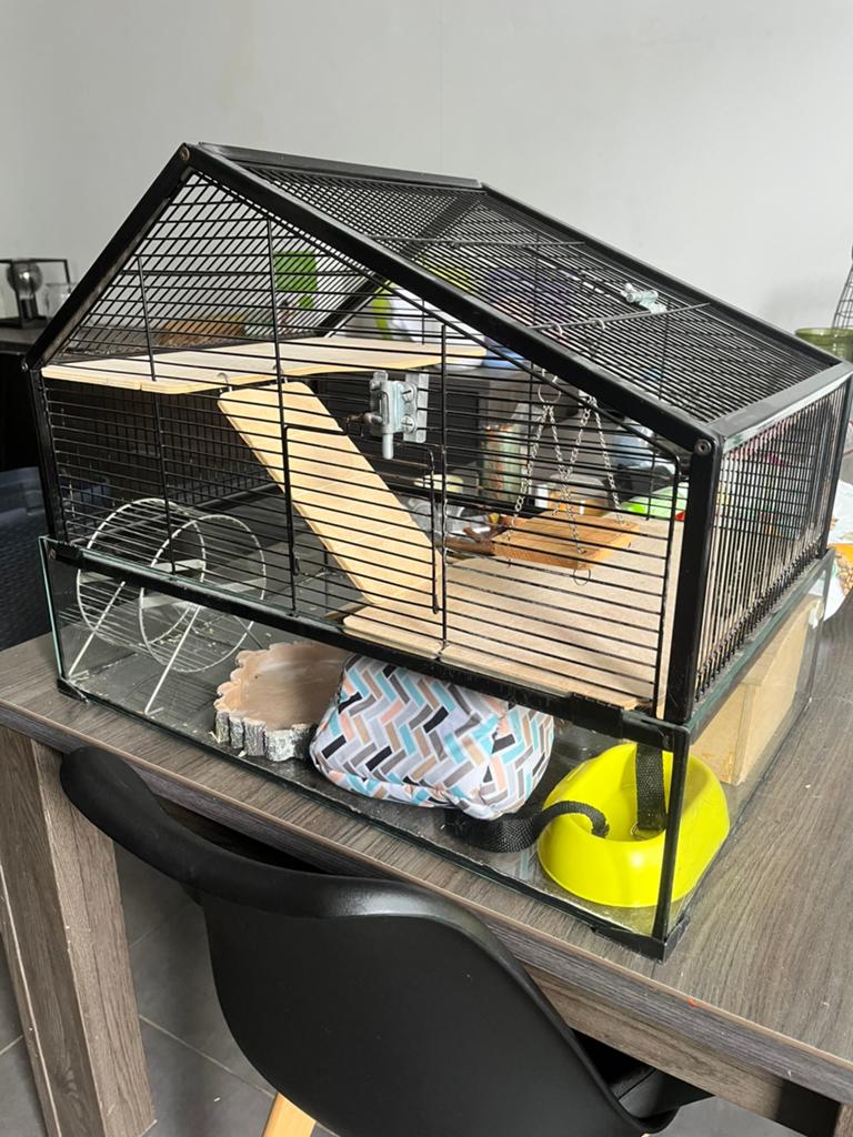 Cage pour rongeur, Enlèvement, Comme neuf, Cage