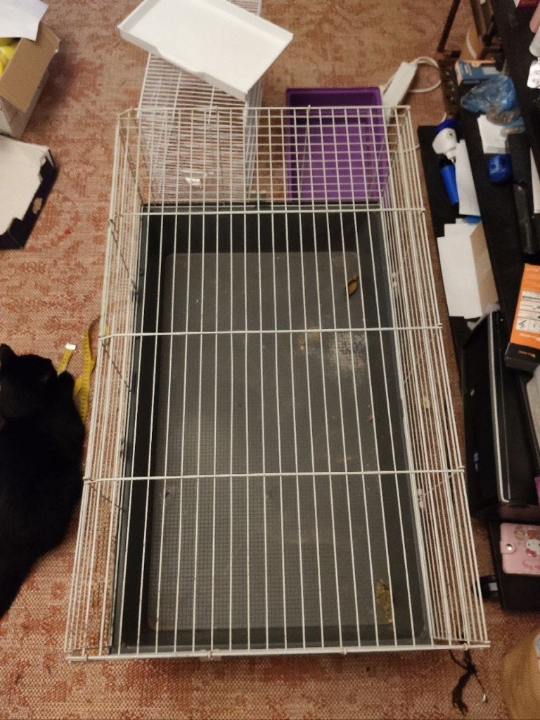 kooi voor een konijn of cavia, Animaux & Accessoires, Rongeurs & Lapins | Cages & Clapiers, Moins de 60 cm, Cage, Cobaye, Utilisé