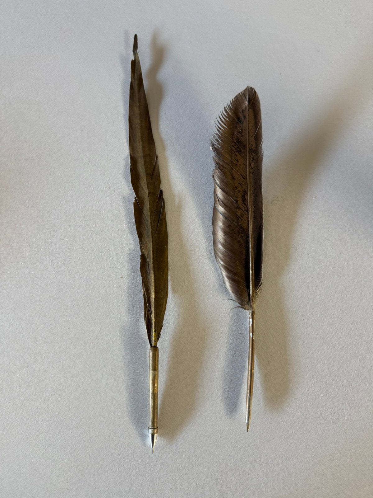 Twee Vintage Schrijfveren (Metalen Pen + Decoratieve Veer), Ophalen, Zo goed als nieuw