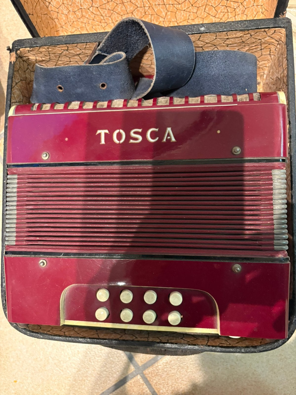 Accordeon Tosca Vinted, Ophalen, Gebruikt, Knopaccordeon, Overige merken