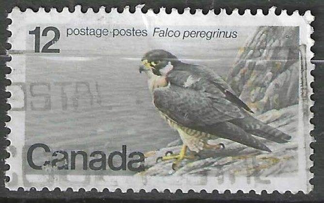 Canada 1977 - Yvert 654 - De Slechtvalk - 12 c. (ST), Verzenden, Gestempeld