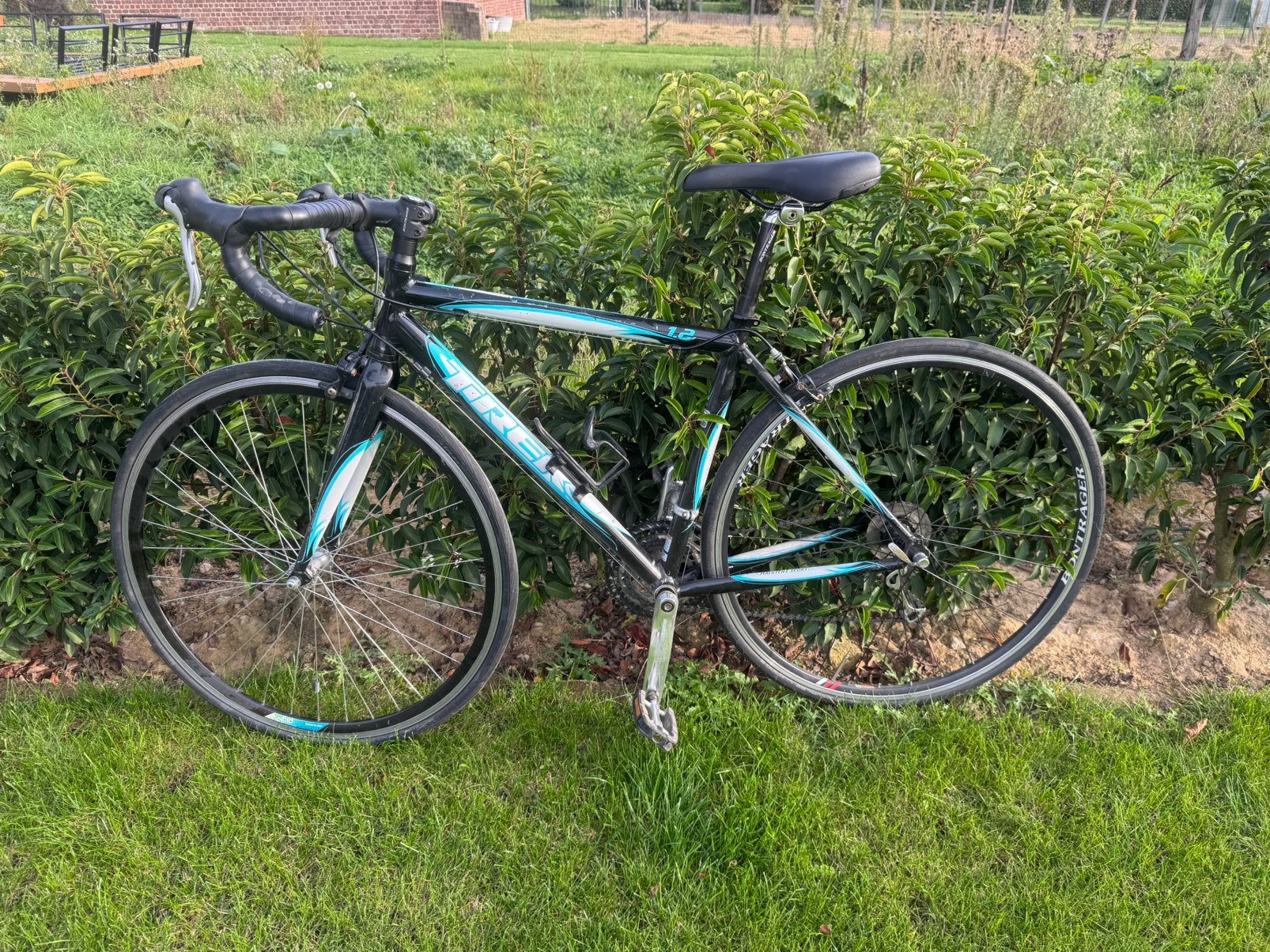 Dameskoersfiets Trek maat 52, 28 inch, Gebruikt, Velgrem, Aluminium